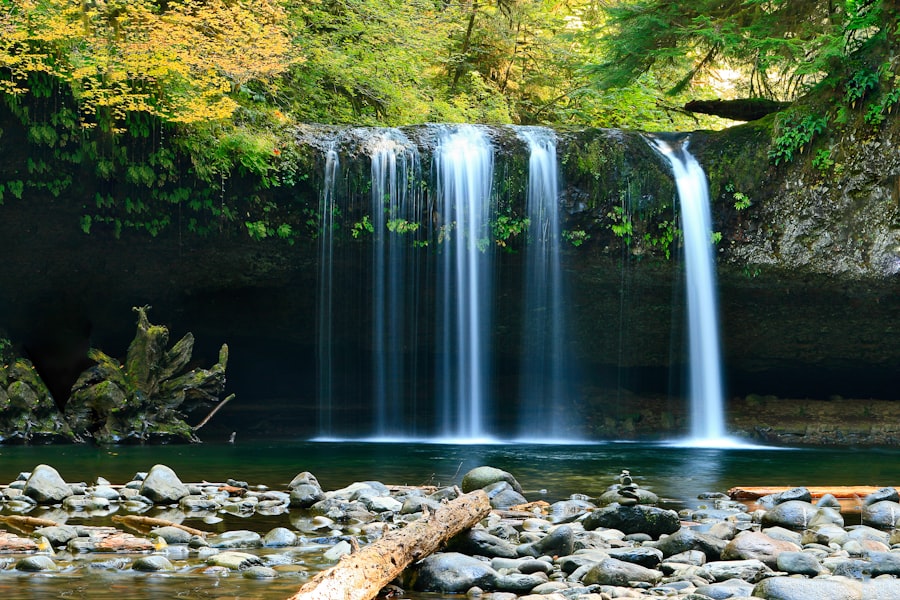 Jhari Falls