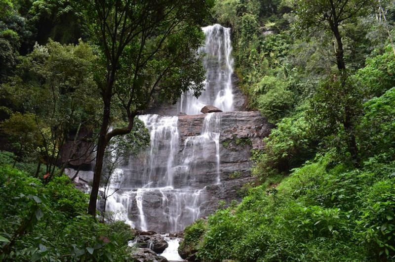 Guddadamane Homestay - Jhari Waterfalls