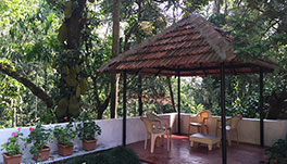 Guddadamane Homestay - Sitting Area 2