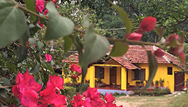 Guddadamane Homestay - Outside View 2