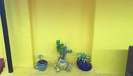 Guddadamane Homestay - Decorations View 6