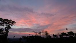 Guddadamane Homestay - Room View 5